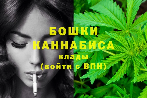 ешки Алзамай