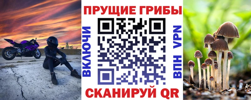 mega сайт Новая Ляля Псилоцибиновые грибы Psilocybine cubensis где найти наркотики